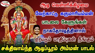 ஆடி வெள்ளியில் கருமாரியம்மன் பாடலை கேளுங்கள் நாகதோஷ பாதிப்புகள் நீங்கும் | Sruthilaya