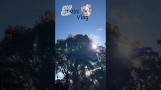 Mini Vlog Day 14 🌿 | Daily Life Routine | Simple Life #shorts
