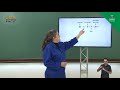 Understanding Numerical Expressions