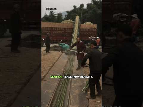 Rumah Idaman Semua Orang