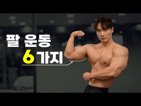 내추럴 보디빌더가 추천하는 팔 운동 6가지 💪