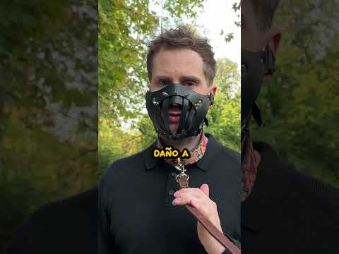 Si podría hablarte 🗣️