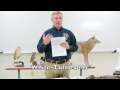 Wildlife Identification and Conservation Concepts
