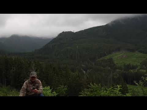An Ocean Terror Story Sent In Today AND A Woman In  B C Shares Her Sighting Near Hope B.C.