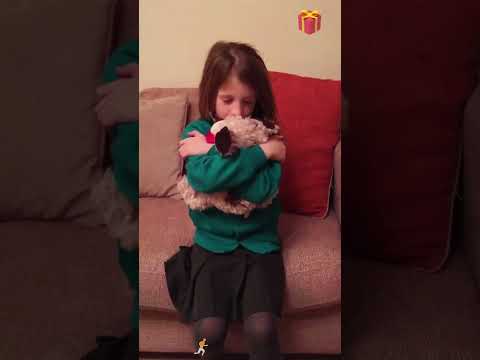 Surprise Puppy๐๐