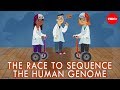 Human Genome Project Overview