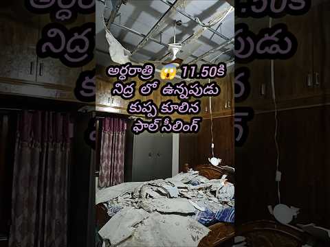 😱🐜చెదలు ఎంత పెద్ద పని పెట్టేసాయి🫣#termitedamage#house #ceiling#dangerous#insects🤐