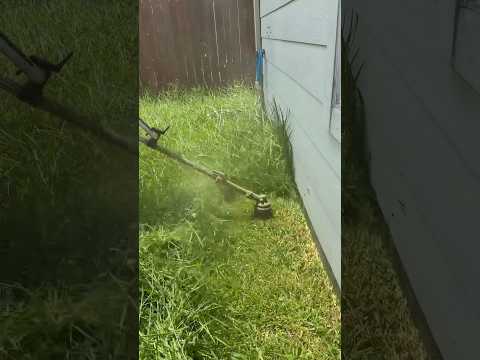 Her last yard man quit, do you know why?