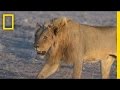 Wildlife Conservation and Human-Wildlife Conflict