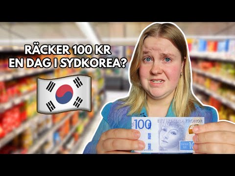 Kan man överleva en dag i Sydkorea på 100 kr?