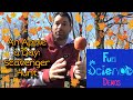 Understanding Inertia Through Scavenger Hunt