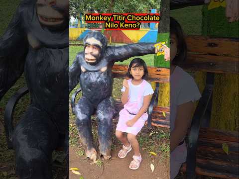 Monkey🦍Titir Chocolate🍭Nilo Keno?🤣🤣 #shorts #funnyvideo #comedyshorts #trishikarimpa