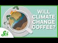 Impact of Climate Change on Coffee