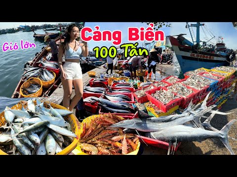 Kinh khủng hàng 100 tấn Cá Trích, Cá Thu, Cá Cờ  cảng An Thới lớn nhất Phú Quốc