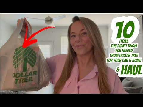 10 ITEMS YOU DIDN’T KNOW YOU NEEDED FROM DOLLAR TREE FOR YOUR CAR & HOME | DOLLAR TREE HAUL | NEW