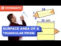 Understanding Triangular Prisms and Geometry