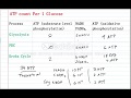 ATP Production and Cellular Respiration