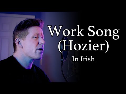 WORK SONG - HOZIER (Cover) - Colm R. McGuinness