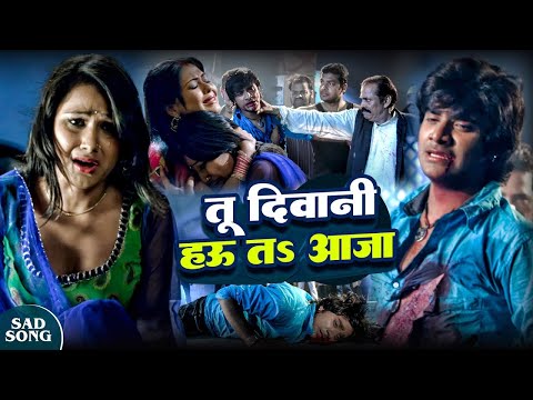 Priyanka Pandit || Chintu Pandey || तू दिवानी हउ त आजा || Tu Diwani Hau Ta Aaja - Bhojpuri Song 2025