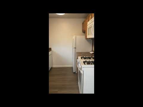 Apartment Video