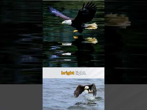 Using the Psychology of Photography in Your Art with Rick Sammon
