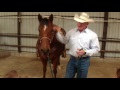 Understanding Agriculture and Community Involvement