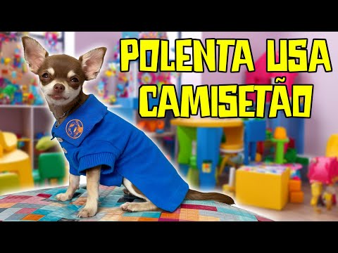 POLENTA ESTÁ DEIXANDO DE SER CRIANÇA E SE TORNANDO ADOLESCENTE!