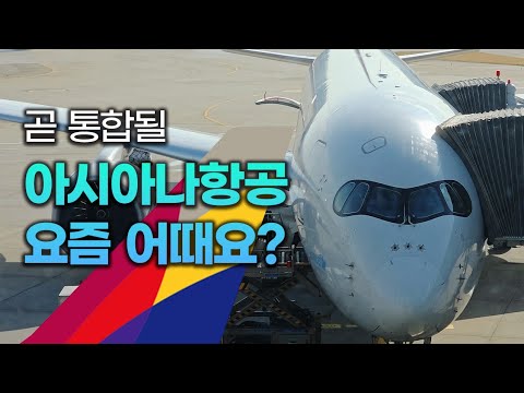 통합을 앞둔 아시아나항공, 요즘 폼 괜찮나요? | 비즈니스 & 이코노미 리뷰