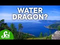Lake Baikal: The World's Deepest and Oldest Lake
