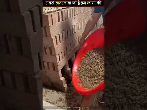 यहां बिच्छुओं को पाला जाता है😱