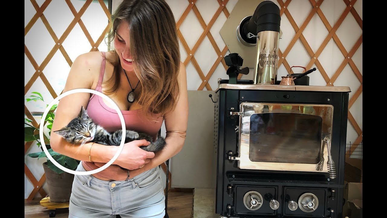 We're Having Twins - Off The Grid Cute Kittens -Ep. 32