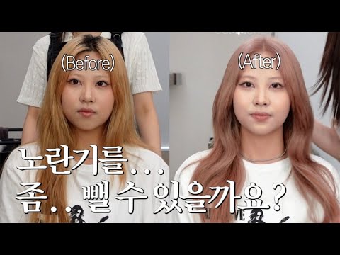 일하기 전에 머리부터 할까 ??