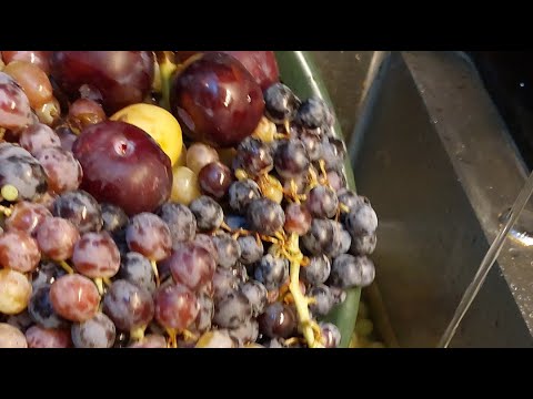 مساء الخير والسعادة شلونكم