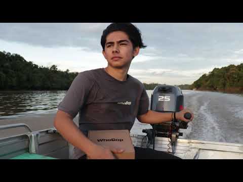 JADI KURIR DI HUTAN!!!