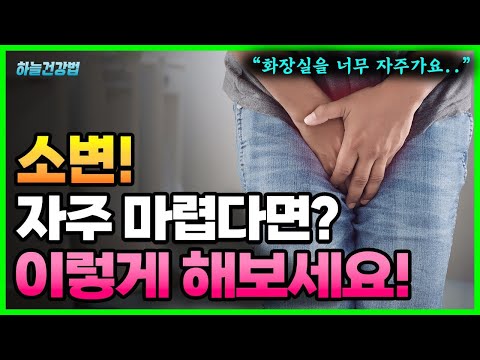 소변이 자주 마려운 이유는? 다양한 다뇨 증상 원인과 해결법