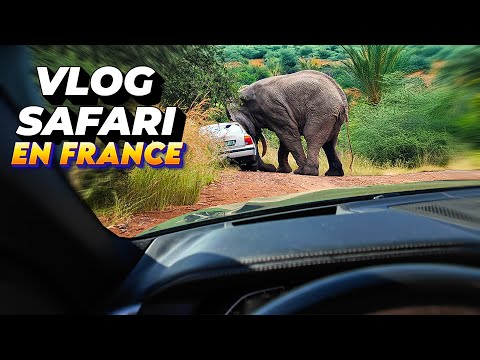 Planète Sauvage Un ZOO à faire en VOITURE ! (en france) MkProd VLOG