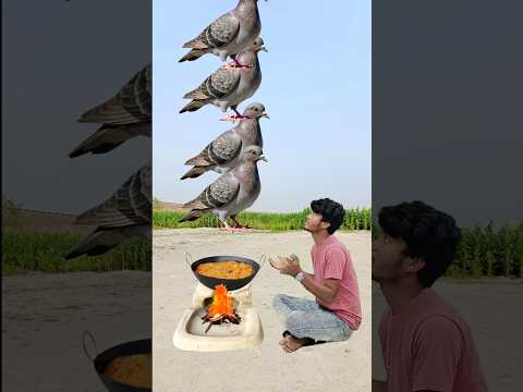 इतना सारा मछली 🐠😱😱🥰🥰#shortvideo #youtubeshorts
