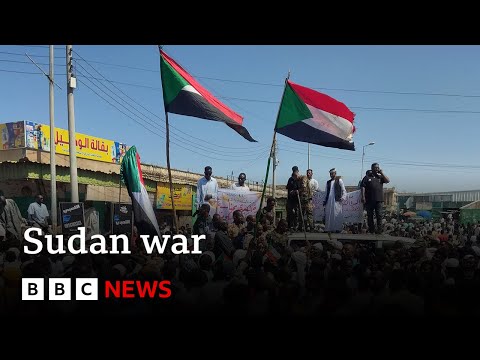 Sudan army recaptures presidential palace in Battle for Khartoum | BBC News