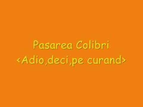 Pasarea Colibri Adio Deci Pe Curand Chords Chordify