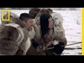 Understanding Wolves and Human Interaction