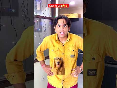 Cow Vs Dog😂🔥 #shorts #shortsfeed #funny #comedy #viralvideo