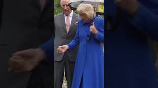 Rolling Gifts for the King