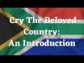 Social Realism and Apartheid in Literature