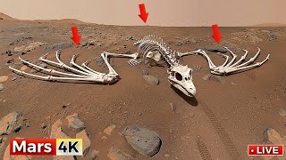 This 360° 4K Mars View Wasn’t Supposed to Be Seen | Perseverance & Curiosity 😨