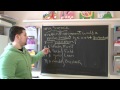 Camouflage and Adaptations of Rabbits