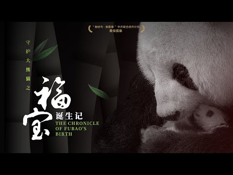 《守護大熊貓之福寶誕生記 Guardians Of The Panda - The Chronicle of FuBao's Birth》