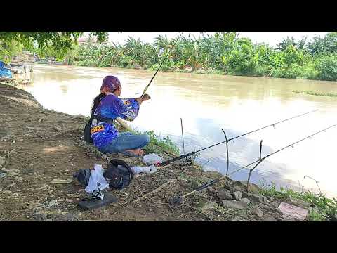 Excellent !! video of fishing in the river