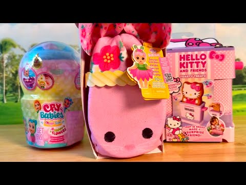 Asmr Cry Babies, Baby Born, Hello Kitty surprise