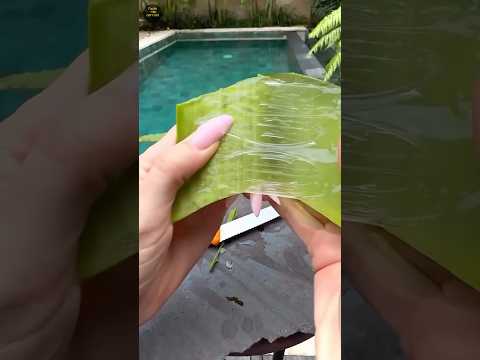 Long hair aloe Vera remedy