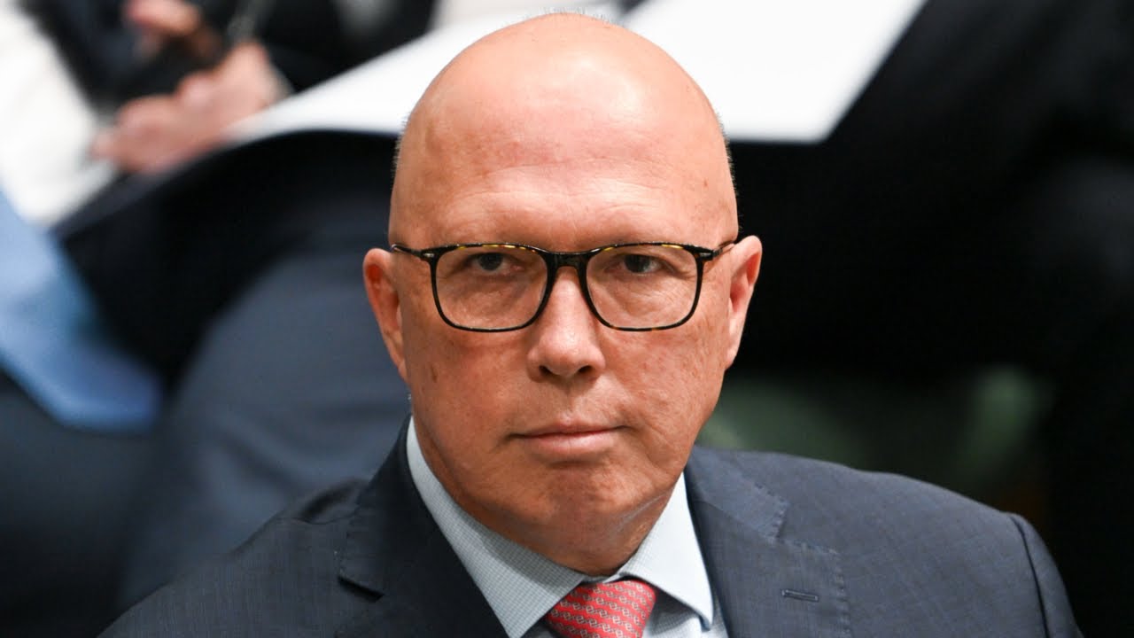 Peter Dutton’s nuclear policy has advanced him ‘personally and politically’